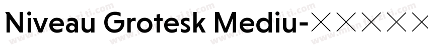 Niveau Grotesk Mediu字体转换